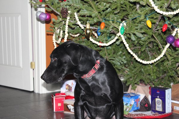 New Camera Dec2010 166